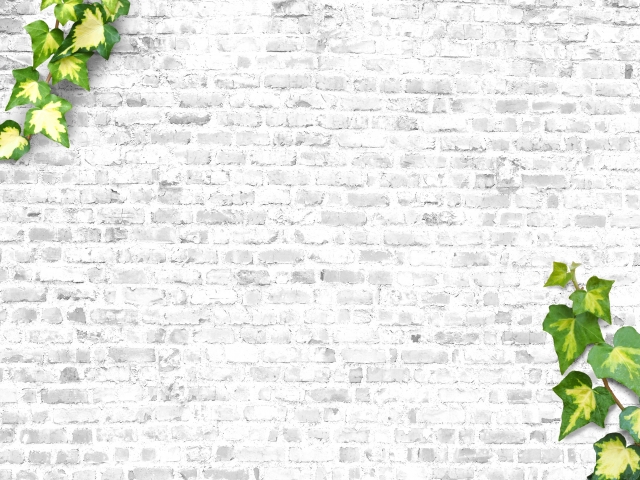 白いレンガ壁と緑の蔦