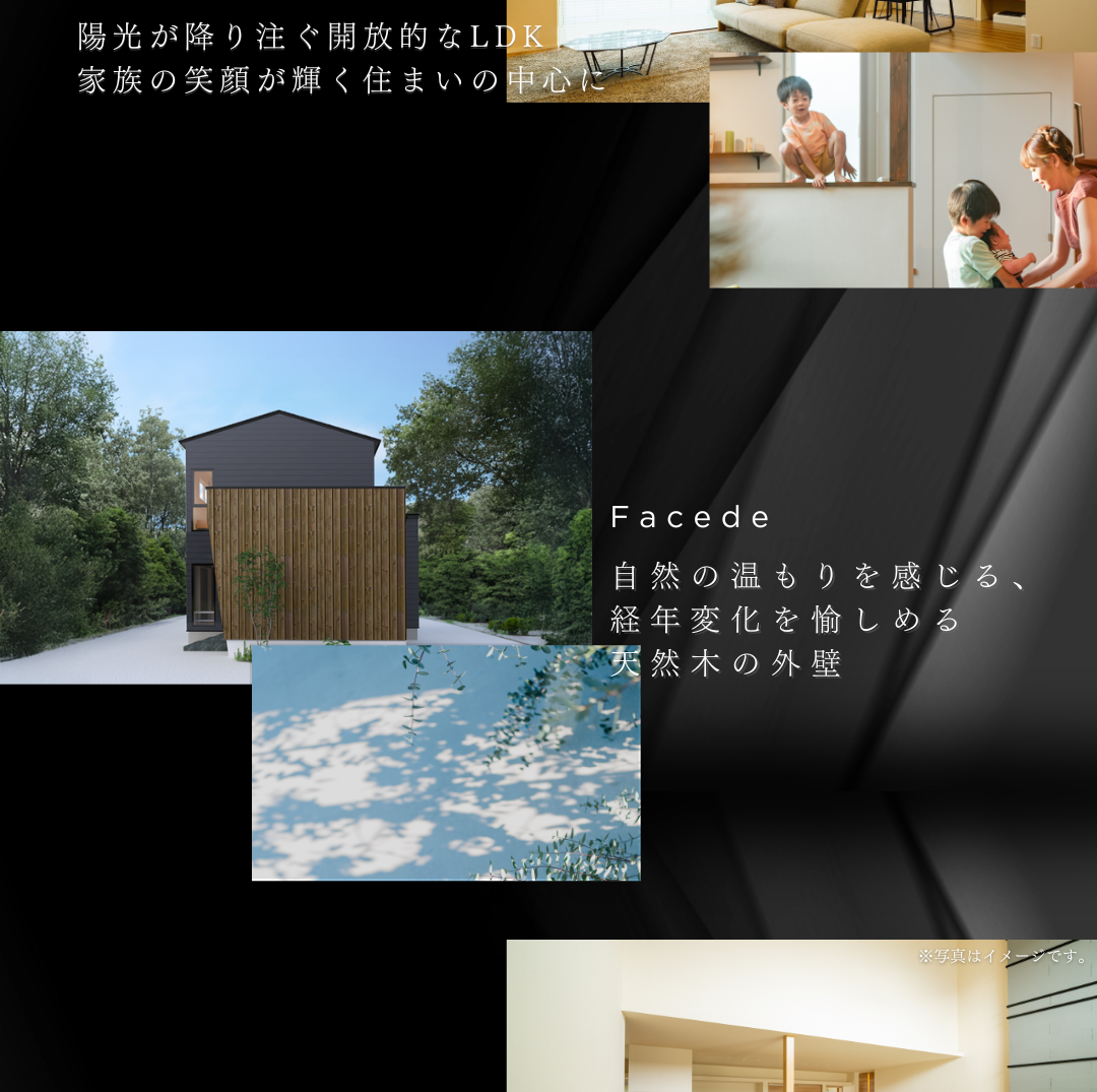 陽光あふれる開放的なLDKと、自然の温もり・経年変化を愉しめる天然木のファサードを持つ住宅。家族の笑顔が輝く住まいのイメージコラージュ。