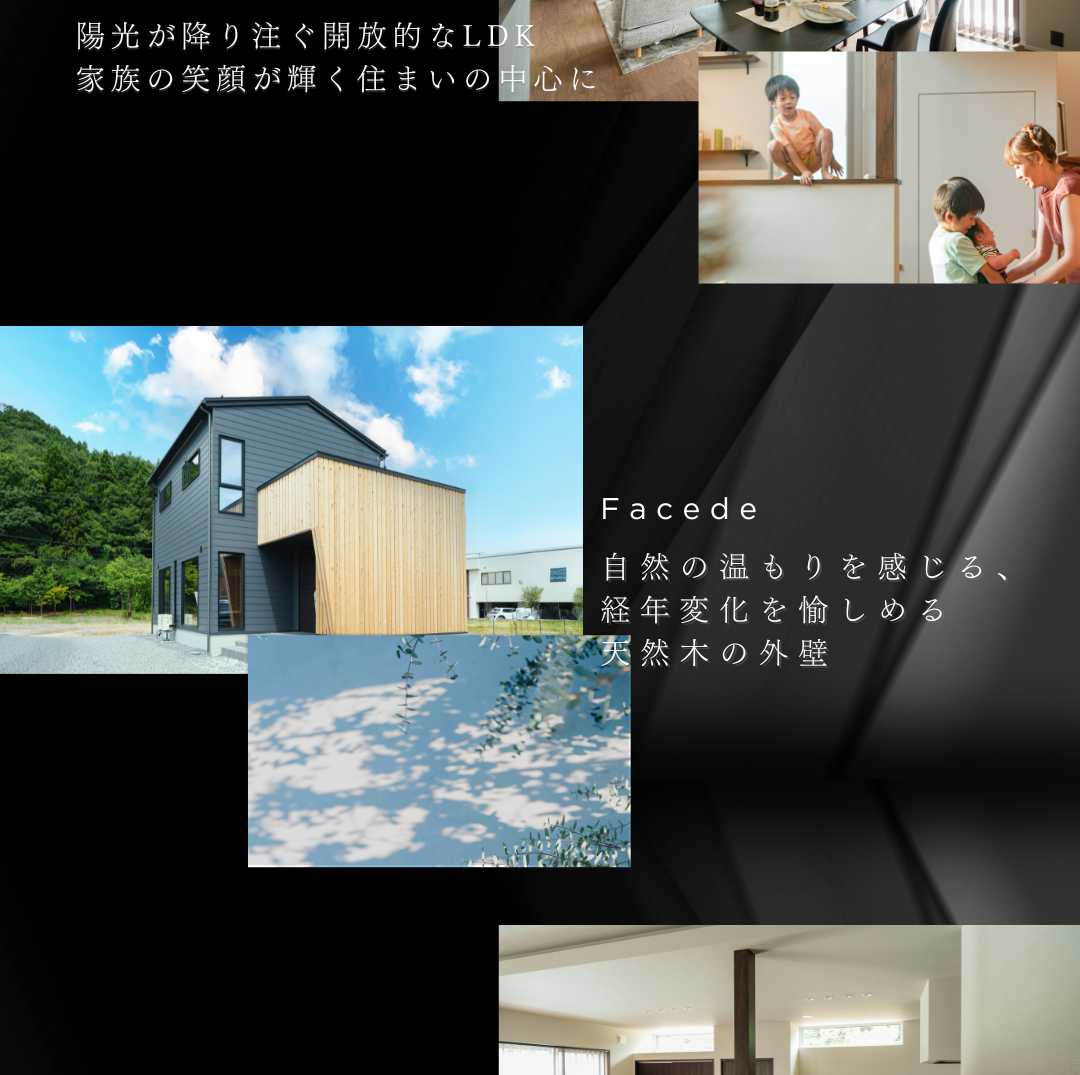 モダン住宅の魅力を伝えるコラージュ。「陽光が注ぐLDK」と「経年変化を愉しめる天然木の外壁」をテーマにした写真とコンセプトテキスト。
