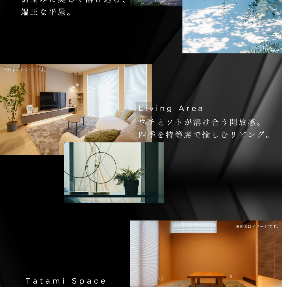 四季を特等席で愉しむ開放的なリビングと、リモートワークやゴロゴロ寛げる万能な畳空間の内観。